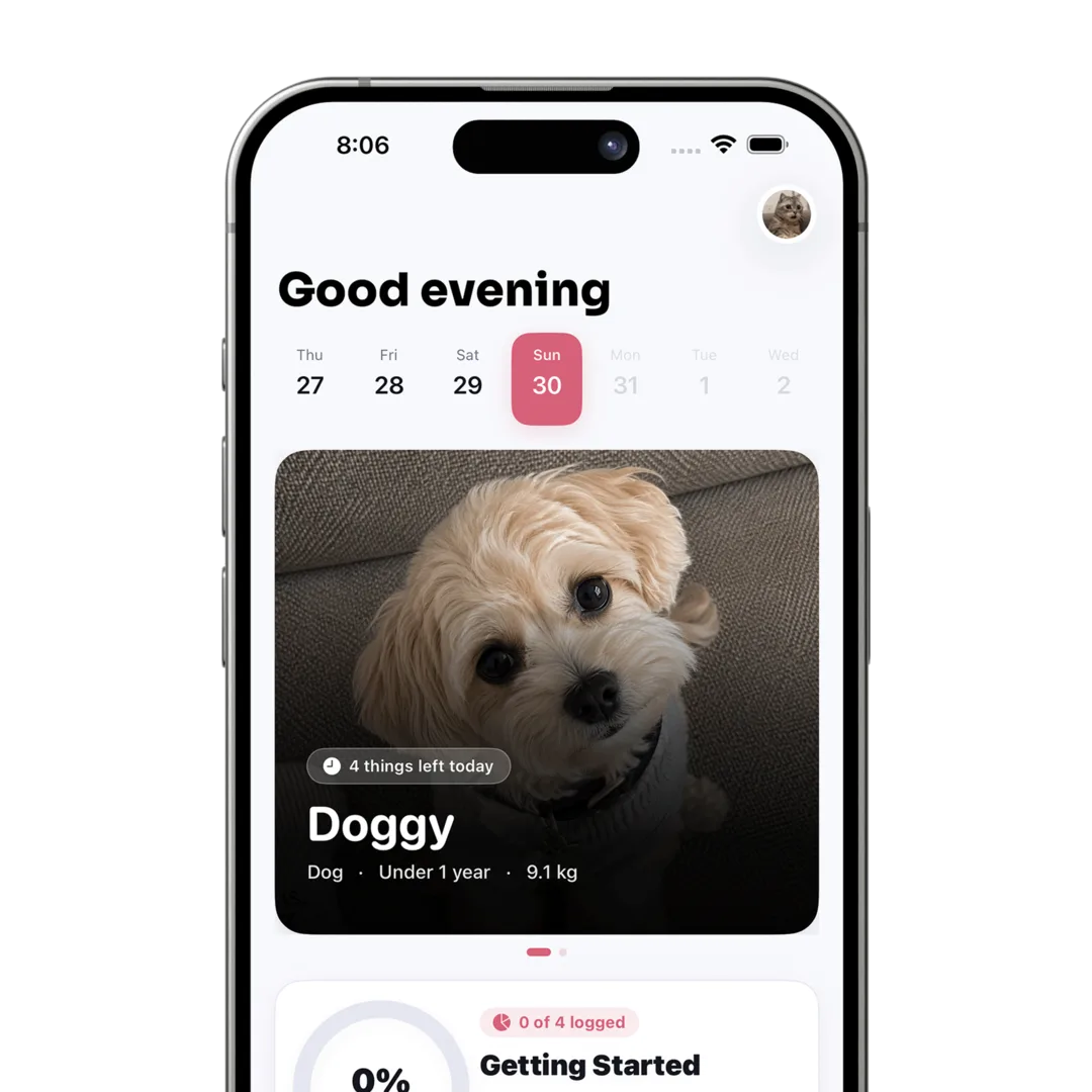 Petive home screen showing the daily care rings after a meal was logged