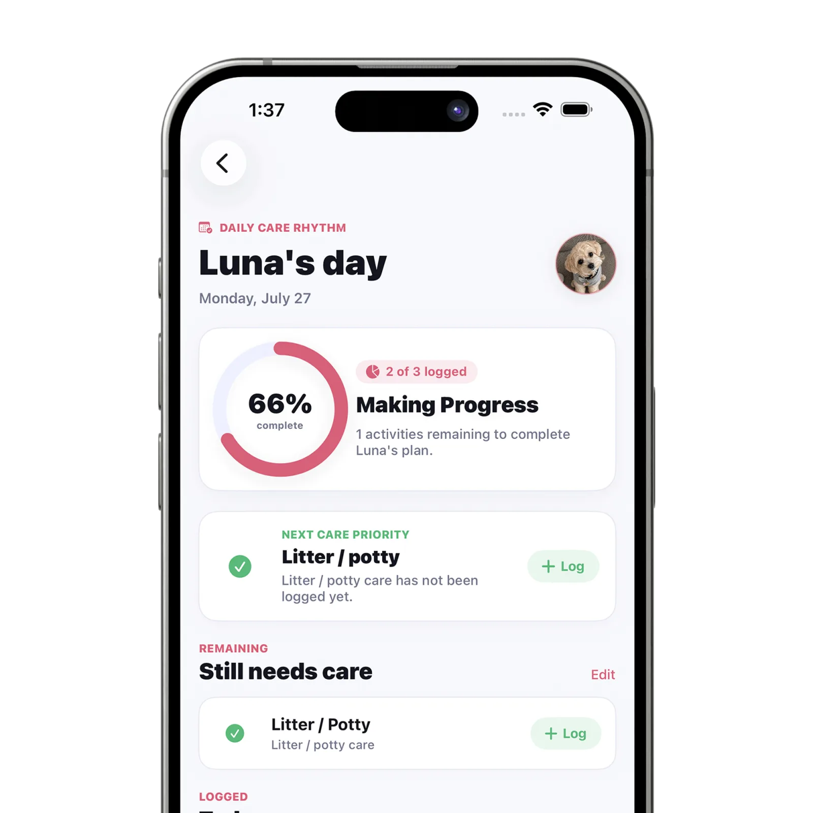 Petive daily pet care tracker showing feeding and grooming entries