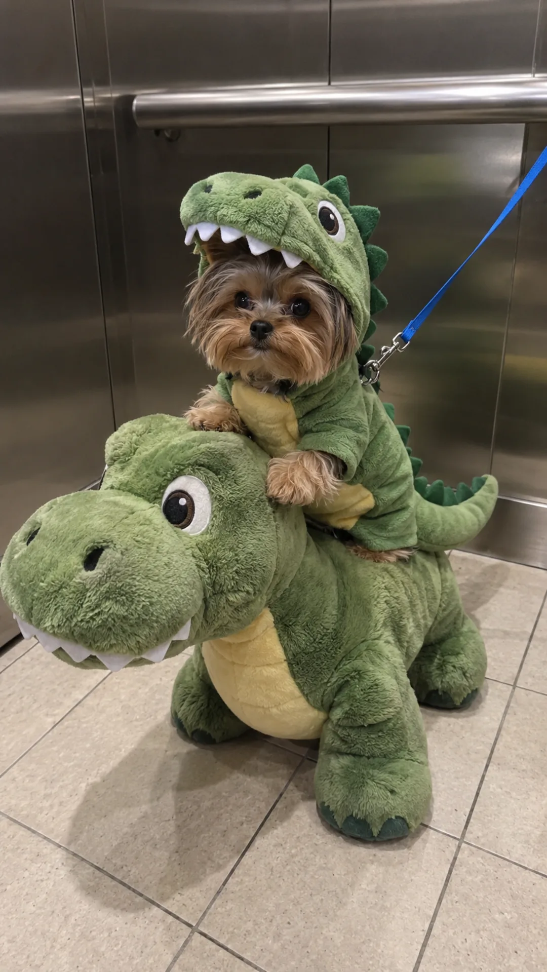 Tiny dog in a dinosaur costume riding a plush dinosaur
